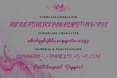 Estele Font by R. Studio — Script Handwritten Font — thumbnail 6