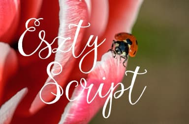 Eszty Font by Digital Typeface Studio — Script Handwritten Font — thumbnail 2