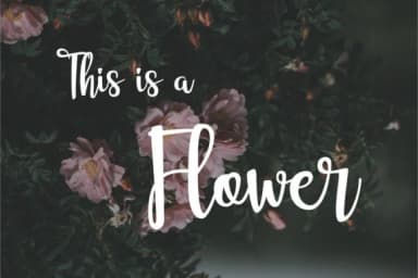 Eurotrophya Font by Great's St — Script Handwritten Font — thumbnail 4