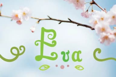 Eva Script Font by Creatoria Designs — Script Handwritten Font — thumbnail 1