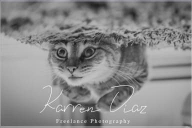 Eveline Cara Font by Wras Studio — Script Handwritten Font — thumbnail 3