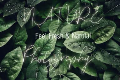 Eveline Cara Font by Wras Studio — Script Handwritten Font — thumbnail 6