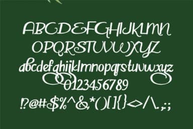 Evergreedy Font by Illustration Ink — Script Handwritten Font — thumbnail 2