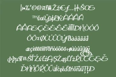 Evergreedy Font by Illustration Ink — Script Handwritten Font — thumbnail 3