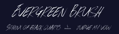Evergreen Brush by JSH creates — Script Handwritten Font — thumbnail 2