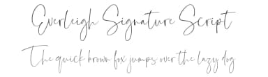 Everleigh Signature Script by Get Studio — Script Handwritten Font — thumbnail 1
