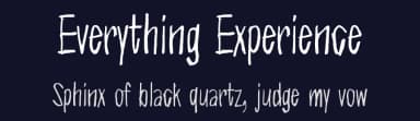 Everything Experience by Juha Korhonen — Script Handwritten Font — thumbnail 2