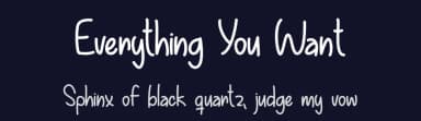 Everything You Want by Misti's Fonts — Script Handwritten Font — thumbnail 2