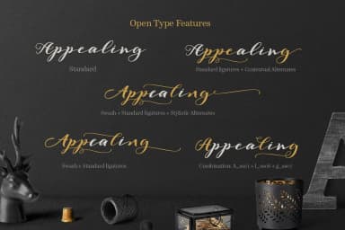 Evita Font by JROH Creative — Script Handwritten Font — thumbnail 8