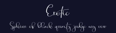 Exotic by Erik Studio — Script Handwritten Font — thumbnail 2