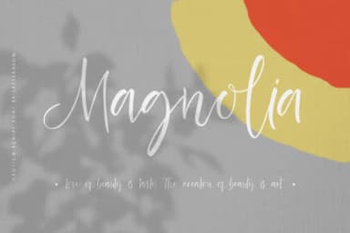 Exotico Font by Letteratom — Script Handwritten Font — thumbnail 6