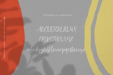 Exotico Font by Letteratom — Script Handwritten Font — thumbnail 8