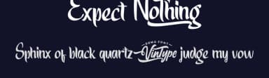 Expect Nothing by VinType — Script Handwritten Font — thumbnail 2
