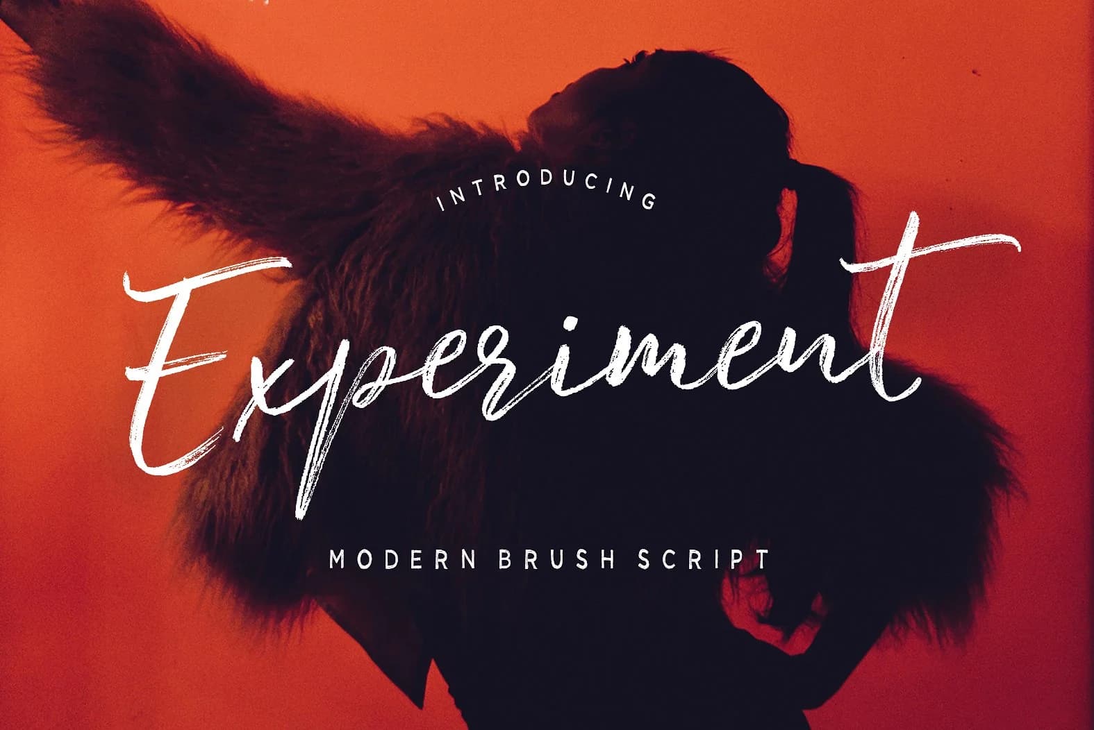 Experiment Brush Font by Dhan Studio — Script Handwritten Font