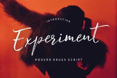 Experiment Brush Font by Dhan Studio — Script Handwritten Font — thumbnail 1