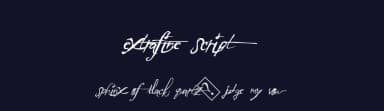 ExtraFine Script by Xerographer Fonts — Script Handwritten Font — thumbnail 2