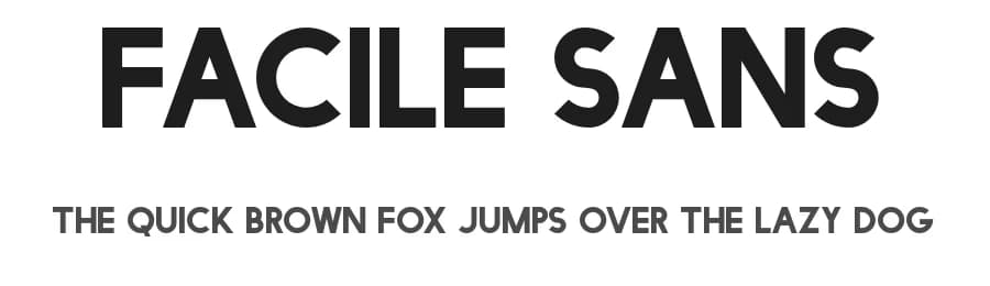 Facile Sans by Twicolabs Fontdation — Sans Serif Font