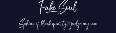 Fake Soul by VinType — Script Handwritten Font — thumbnail 2
