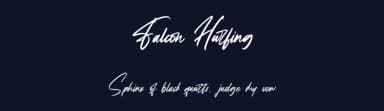 Falcon Harfing by StringLabs Creative Studio — Script Handwritten Font — thumbnail 2