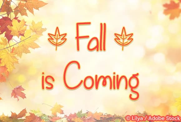 Fall is Coming Font by Misti — Script Handwritten Font