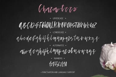 Fallen Angel Font by Favete Art — Script Handwritten Font — thumbnail 3