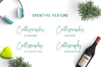 Falling Slowly Font by QueenType — Script Handwritten Font — thumbnail 4