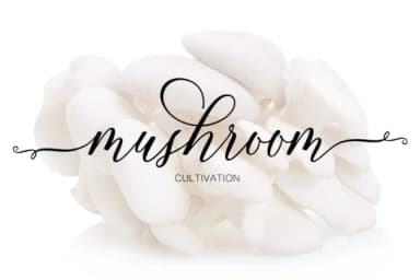 Famouline Script Font by JhoelDesign — Script Handwritten Font — thumbnail 9