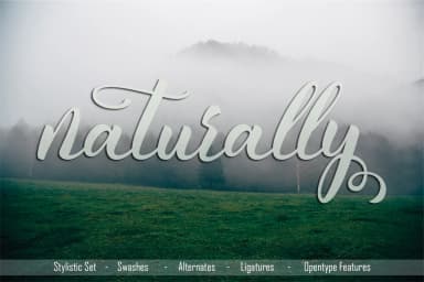 Fanesia Font by Cooldesignlab — Script Handwritten Font — thumbnail 2