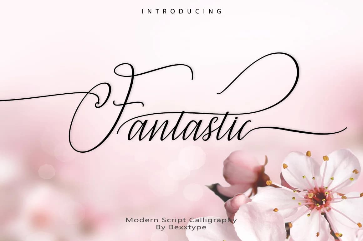 Fantastic Font by Bexx Type — Script Handwritten Font