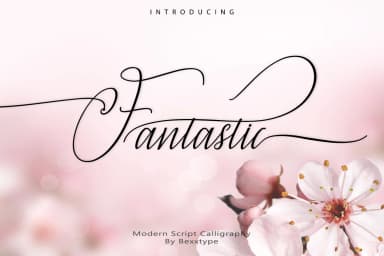 Fantastic Font by Bexx Type — Script Handwritten Font — thumbnail 1