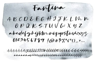 Fantina Font by Studio_Art — Script Handwritten Font — thumbnail 8