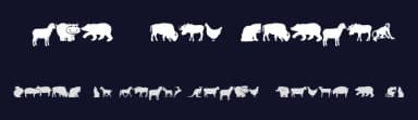 Farm & Wild Animals by CSP Backgrounds — Dingbats Font — thumbnail 2