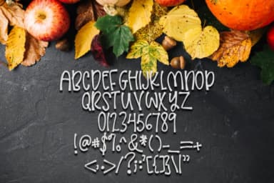 Farmers Daughter Font by Peace Love Craft — Script Handwritten Font — thumbnail 2