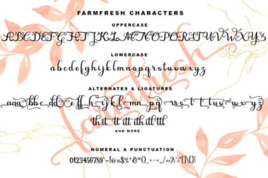 Farmfresh Script Font by akifatype — Script Handwritten Font — thumbnail 6