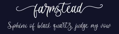 Farmstead by Qwrtype Foundry — Script Handwritten Font — thumbnail 2