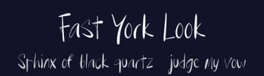 Fast York Look by Tera Asset Garage — Script Handwritten Font — thumbnail 2