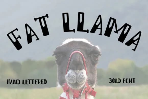Fat Llama Font by Illustrator Guru — Script Handwritten Font