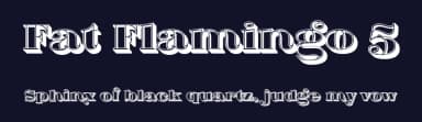 Fat Flamingo 5 by Levi Szekeres — Serif Font — thumbnail 2