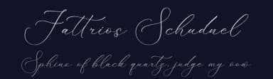 Fattrios Schudnel by Storytype Studio — Script Handwritten Font — thumbnail 2