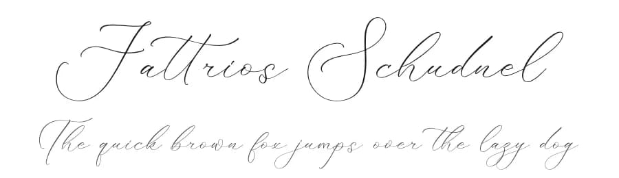 Fattrios Schudnel by Storytype Studio — Script Handwritten Font