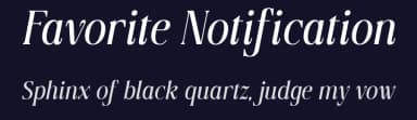 Favorite Notification by Prioritype Co — Serif Font — thumbnail 2