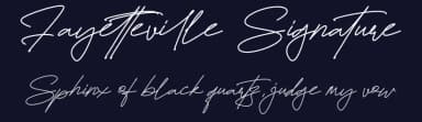 Fayetteville Signature by FinTypeStudio — Script Handwritten Font — thumbnail 2