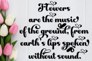 Fayla Font by Ws Studio — Script Handwritten Font — thumbnail 4