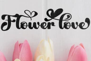 Fayla Font by Ws Studio — Script Handwritten Font — thumbnail 5