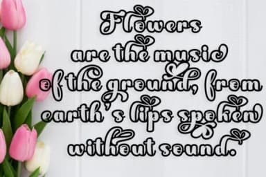 Fayla Font by Ws Studio — Script Handwritten Font — thumbnail 4