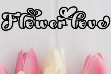 Fayla Font by Ws Studio — Script Handwritten Font — thumbnail 5