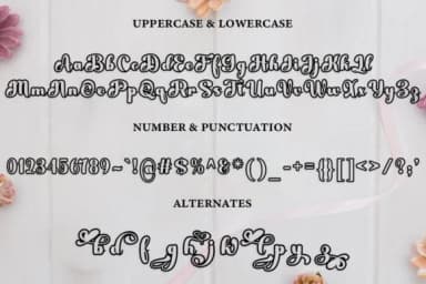 Fayla Font by Ws Studio — Script Handwritten Font — thumbnail 6