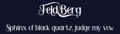 Feldberg by PutraCetol Studio — Serif Font — thumbnail 2