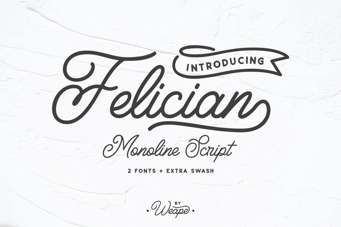 Felician Font by Weape Design — Script Handwritten Font