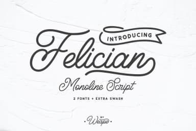 Felician Font by Weape Design — Script Handwritten Font — thumbnail 1